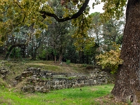 Mon Repos Park